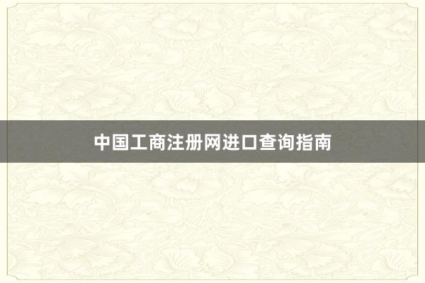 中国工商注册网进口查询指南